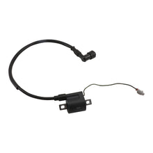 Load image into Gallery viewer, Ignition Coil (EXP 150/KEX AIR 223/A12/A15)